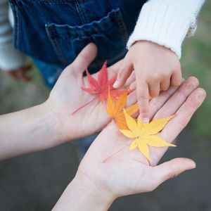 子どもの関心を広げる