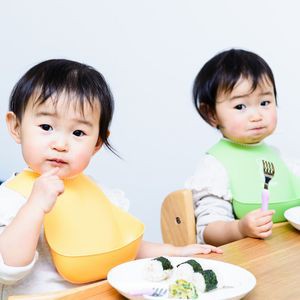 食育計画に基づいた指導案